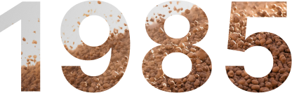 1985